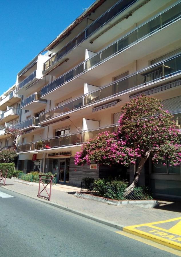 Studio Masol Avec Balcon Amélie-les-Bains-Palalda Eksteriør bilde